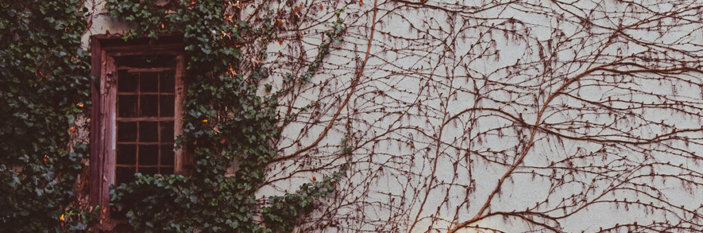 El divorcio de mutuo acuerdo explicado de manera sencilla