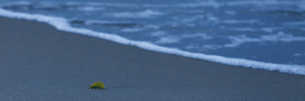 Qué es el desistimiento de una demanda