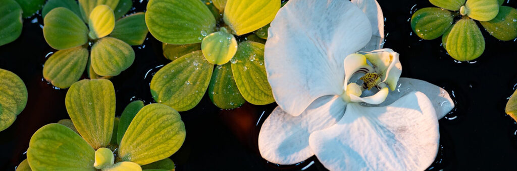 El divorcio en España: aspectos más relevantes