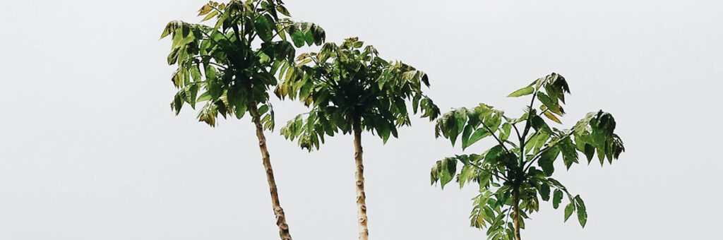 He pagado algo por otro y no me lo devuelve (el derecho de repetición)