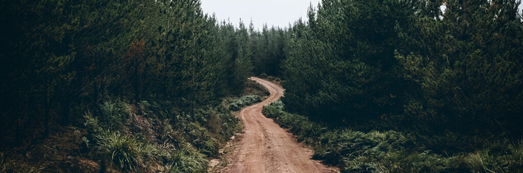 Vivir en lugares diferentes tras el divorcio