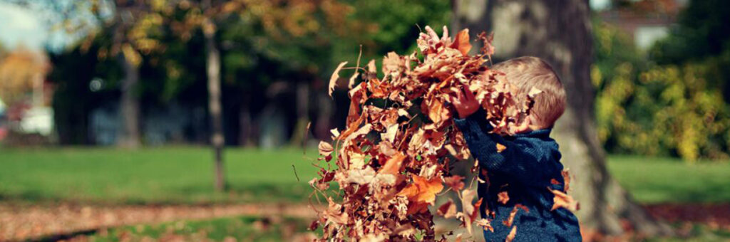 Privación de la patria potestad por falta de relación con el hijo