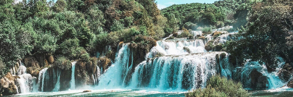 Qué es el proceso de ejecución: lo que tienes que saber