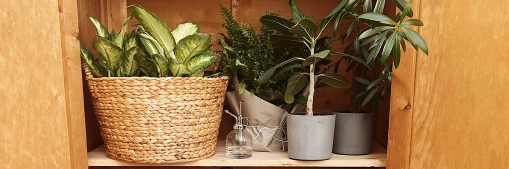 El albacea de una herencia: qué es