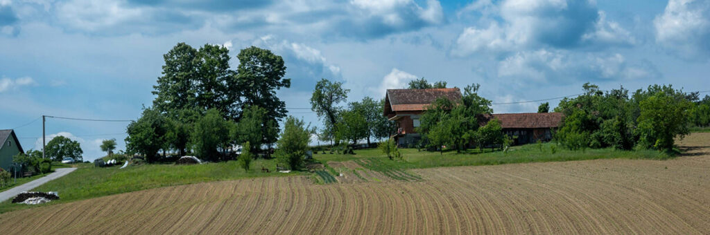 Excluir las prórrogas por contrato en arrendamientos rústicos