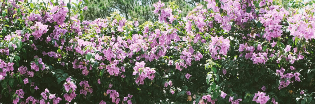 Liquidación de la sociedad ganancial y gastos posteriores a la disolución