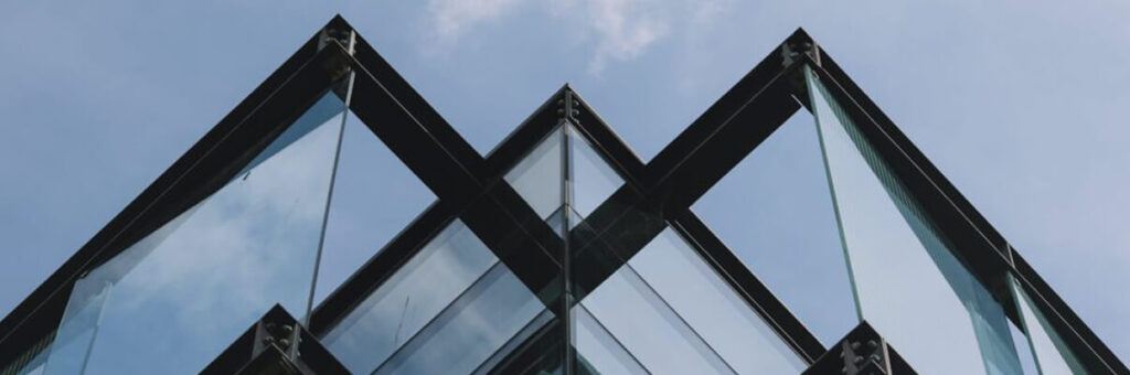 La acción de repetición en vicios de la construcción