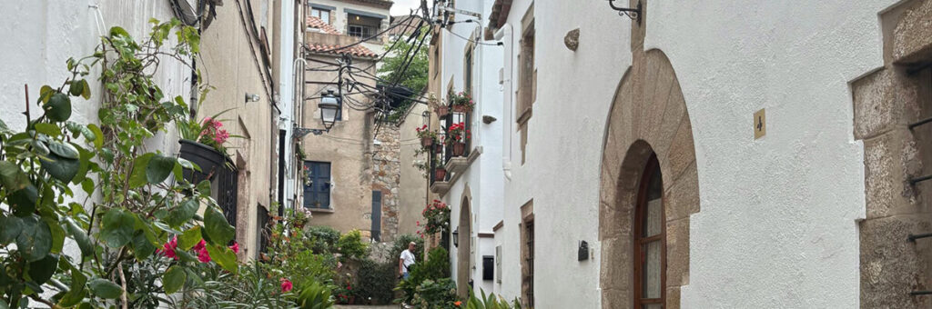 La conmutación del usufructo viudal