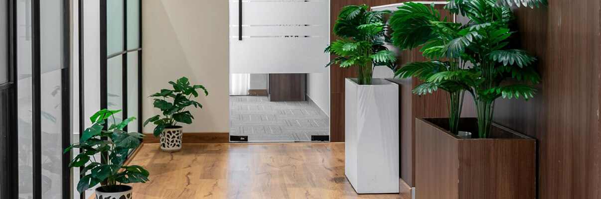 Disolución de gananciales: ¿Qué pasa con los beneficios no repartidos de una empresa privativa?