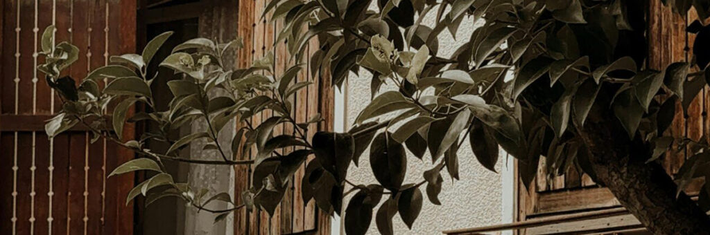 El uso de la vivienda familiar en favor de hijos mayores de edad con discapacidad