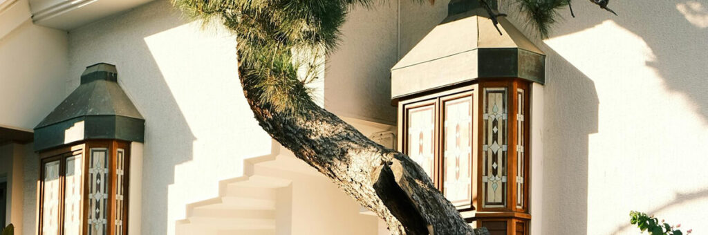 ¿Cuándo puede el propietario recuperar su vivienda? Tácita reconducción, plazos y preaviso en el contrato de alquiler.